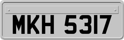 MKH5317