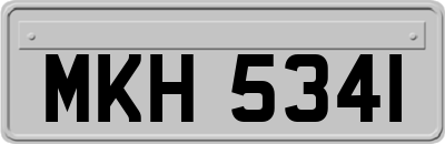 MKH5341