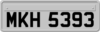 MKH5393