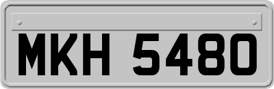 MKH5480