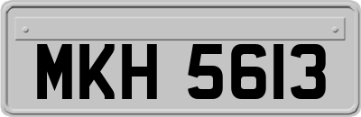 MKH5613