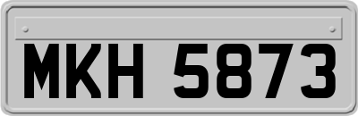 MKH5873