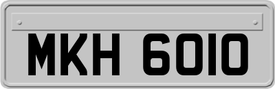 MKH6010