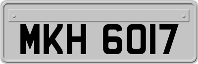 MKH6017