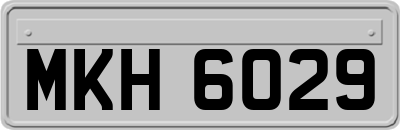 MKH6029