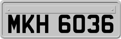MKH6036