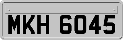 MKH6045