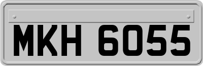 MKH6055
