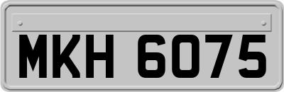 MKH6075