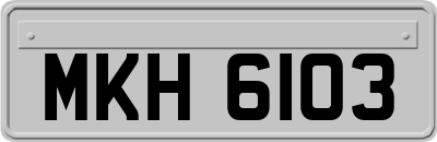 MKH6103