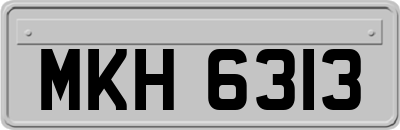 MKH6313