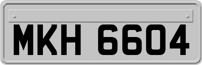 MKH6604