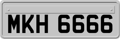 MKH6666