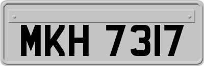MKH7317