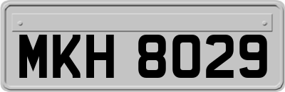 MKH8029