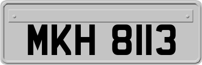 MKH8113