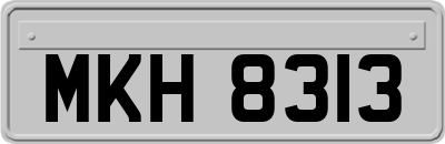 MKH8313