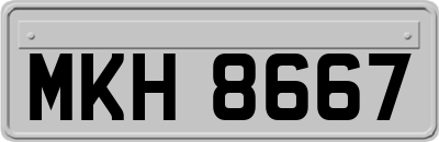 MKH8667