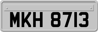 MKH8713