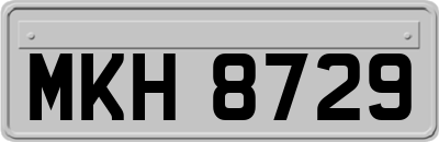MKH8729