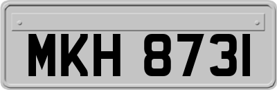 MKH8731