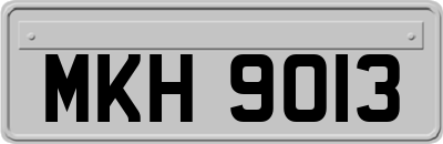 MKH9013