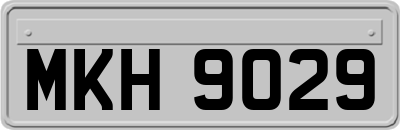 MKH9029