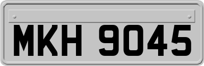 MKH9045
