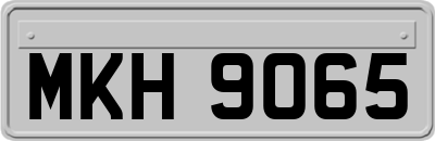 MKH9065