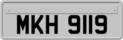 MKH9119