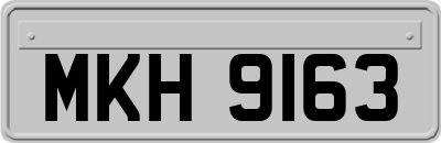 MKH9163