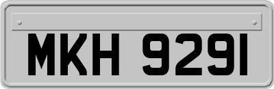 MKH9291