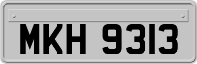 MKH9313