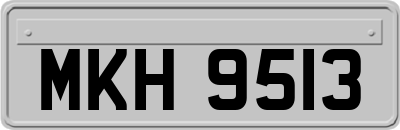 MKH9513
