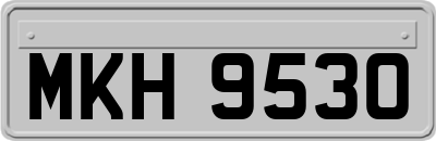 MKH9530