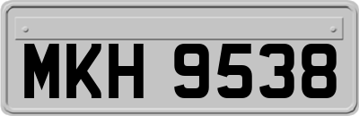 MKH9538