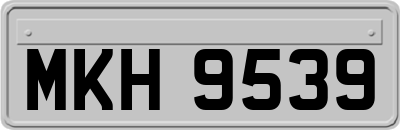 MKH9539