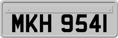 MKH9541