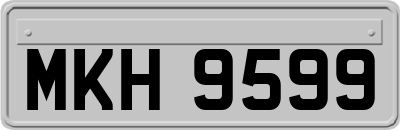 MKH9599