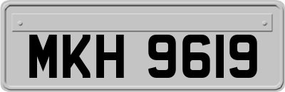 MKH9619