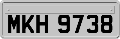 MKH9738