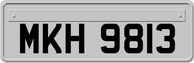 MKH9813