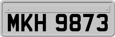MKH9873