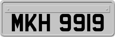 MKH9919