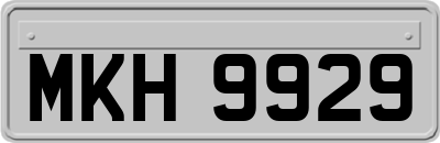 MKH9929
