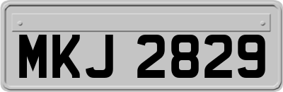 MKJ2829