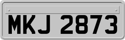 MKJ2873