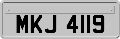 MKJ4119