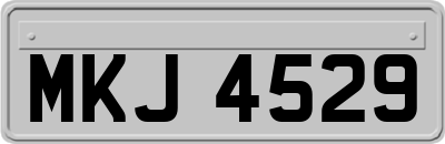 MKJ4529