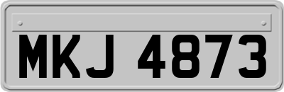 MKJ4873